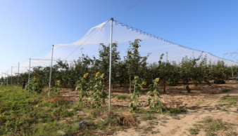 Профессиональный вязать оклик чистой машины Raschel земледелия HDPE девственницы анти-