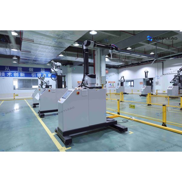 WP50 Intelligent Collaborative Palletizing Robot Maximum Compatible Pallet Size 1200mm 1100mm