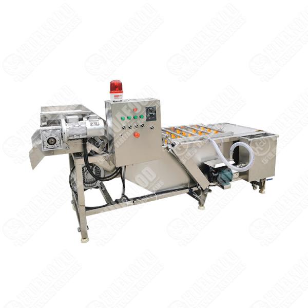 304 Stainless Steel Double Tank Bubble Ozone Vegetable Mesh Chain Washing Machine Small Fruit Washing Machine