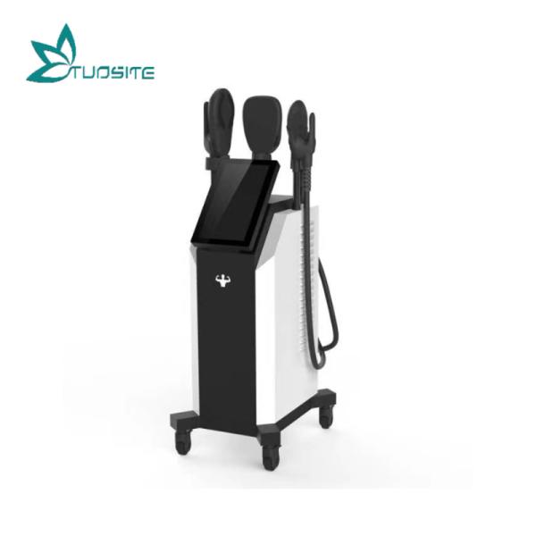 Fat Loss EMS Sculpting Machine Vertical 4 Handle RF Body Contouring