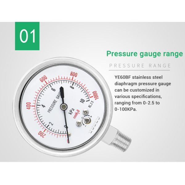 YE60BF M14*1.5 Isolation Diaphragm Capsule Pressure Gauge for Liquid Gas Measurement
