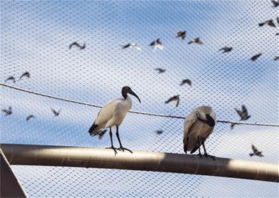 Rhombus Stainless Steel Aviary Mesh Netting High Strength 2.0mm