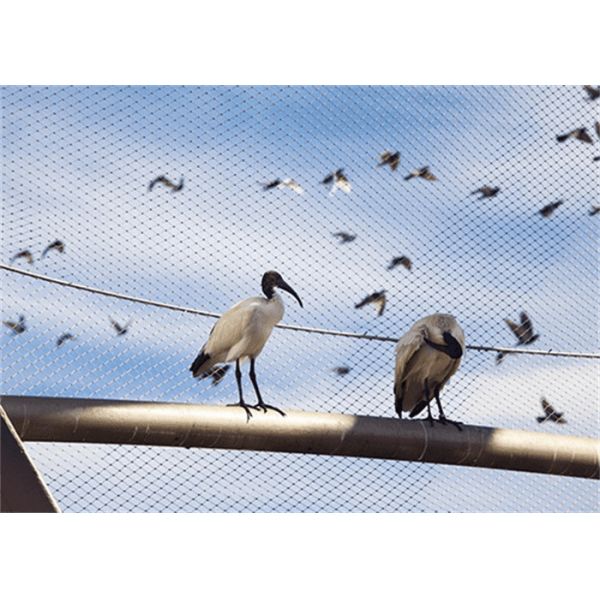 Rhombus Stainless Steel Aviary Mesh Netting High Strength 2.0mm