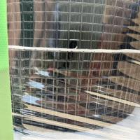 Black PVC Coated Welded Wire Fence Square 1/2 Galvanized Welded Wire Mesh in Roll