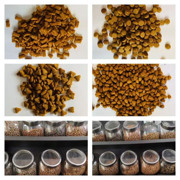 200 ~ 500 кг/ч Двойной винтовой сухой экструдер для кормов для домашних животных