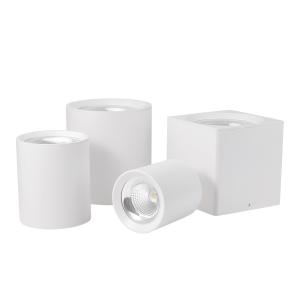 12W Aluminum LED Downlight with 50000 Hours Lifespan and Recessed LED Gimbal Design