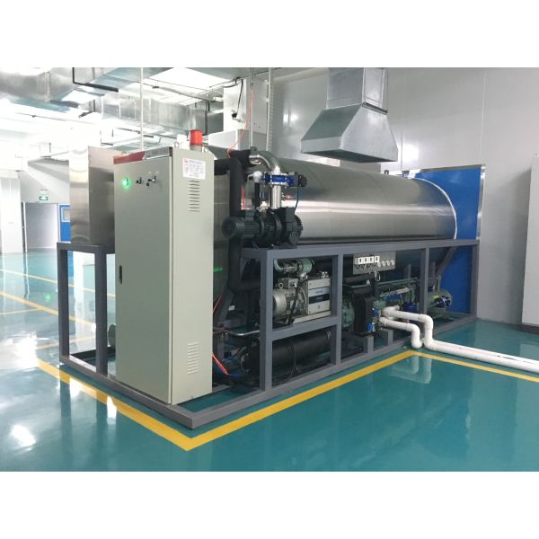 200 kilogramos por el tipo seco equipo de la producción de máquina del helada del vacío de la fruta del lote de la liofilización