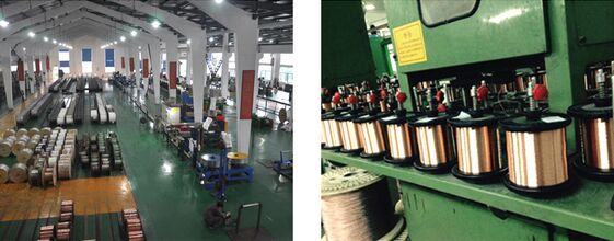 Polyethylene Cat5E Unshielded(UTP) Ethernet Patch Cord  Electronics Copper Computer Networking Cable (1 Pcs-Package) PVC