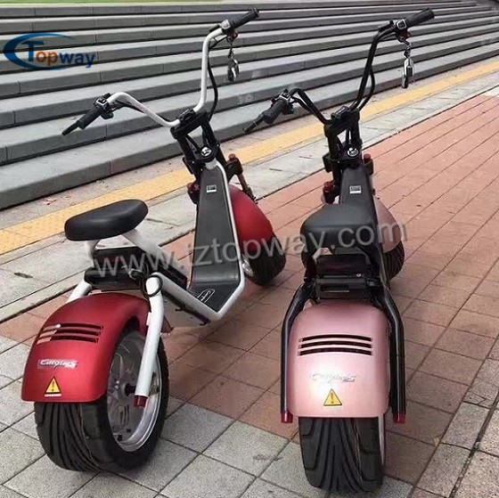 two wheels Citycoco 1000W 60V adult electric scooter battery box removable