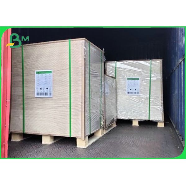 Folding Resistance 200gsm Food Grade White Coated Kraft Paper For Making Fries Box