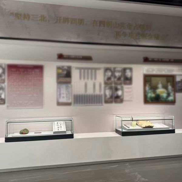 Frameless Museum Style Display Case Multi Purpose Collectors Museum Display