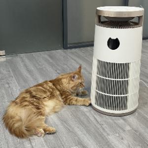 VDETTE HP01 Ozone HEPA Air Purifier with Timer 220V White