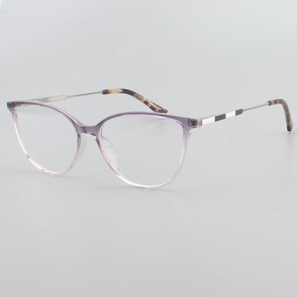 Classical Retro Blue Light Eyewear TR90 Optical Frames