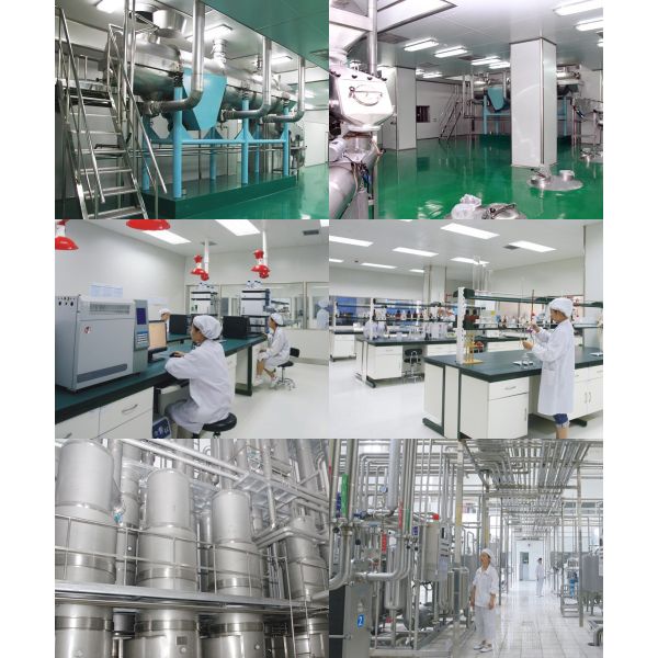 Adult Natural Goat Milk Powder GMP HACCP HALAL Certification