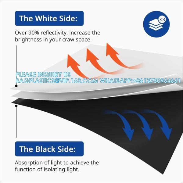 Crawl Space Vapor Barrier - 10 Mil (10' X 50'), Thick Plastic Sheeting, Drop Cloth Moisture Barrier Covering