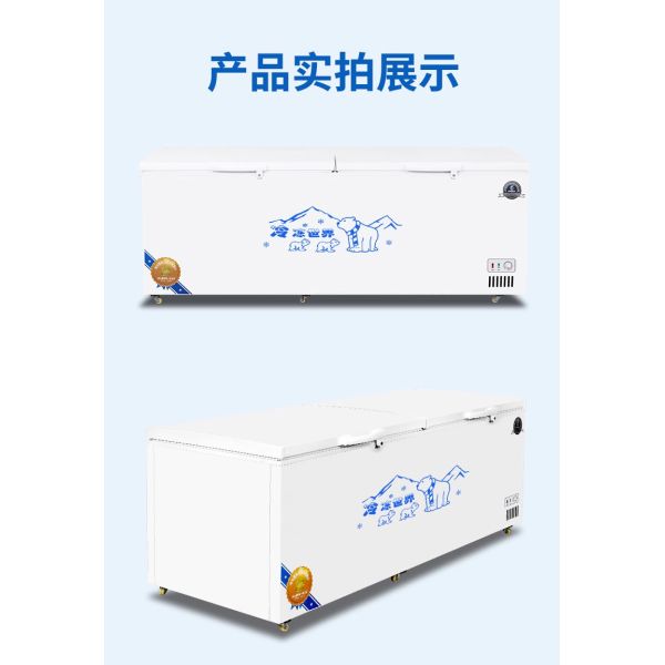 Medicine Storage Freezer Deep Chest Upright Fridge -25 degrees Celsius Freezer
