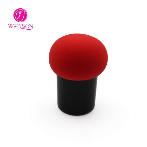 Wesson Makeup Egg Sponge