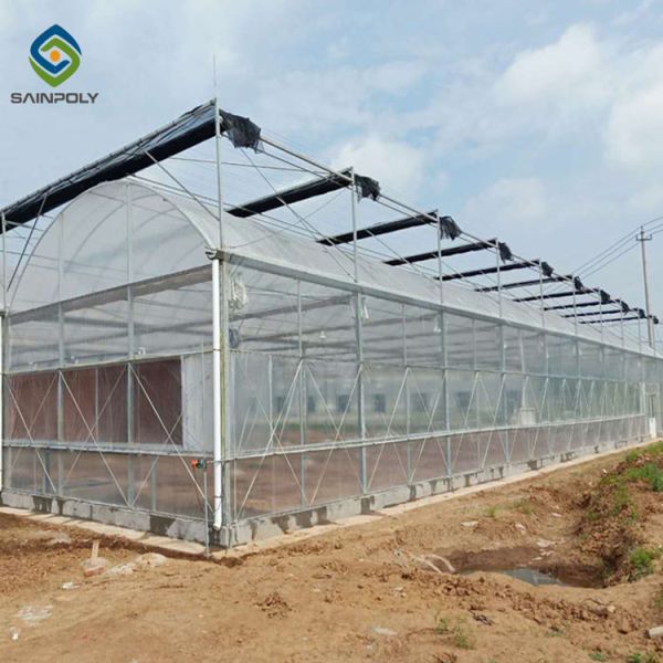 33ft Multi Span PE Plastic Shed Film Greenhouses