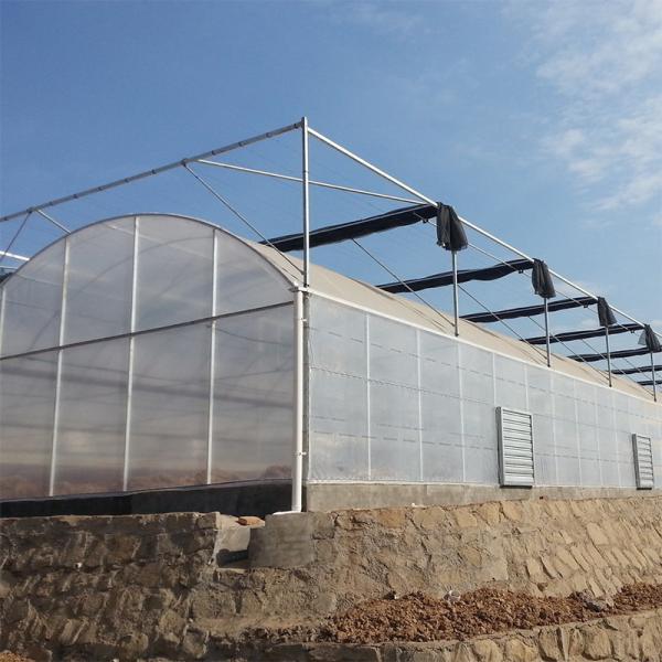 Modern Farming Agricultural Poly Tunnel Plastic Film Tomato Greenhouses