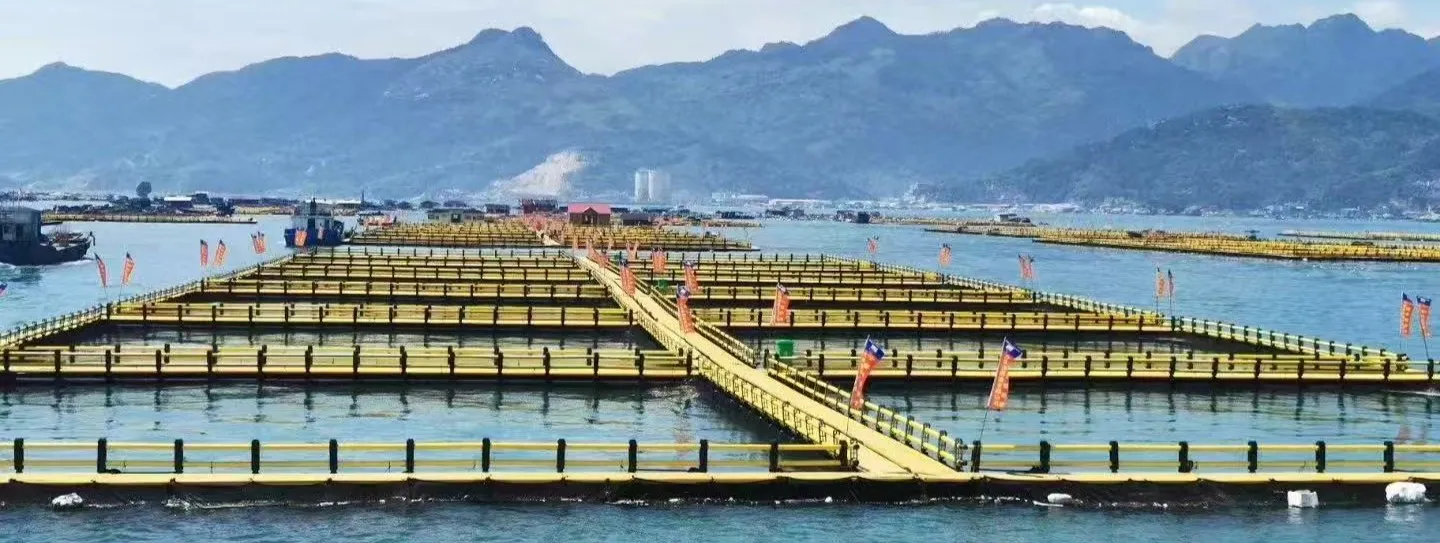 6m x 6m Square HDPE Fish Cage for Tilapia Farming with Multi-Cell Floating Net Cage