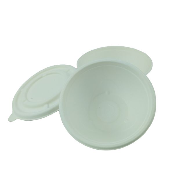 Natural Sugarcane Pulp Biodegradable Bagasse Bowl Dim Sum Dumpling Takeaway