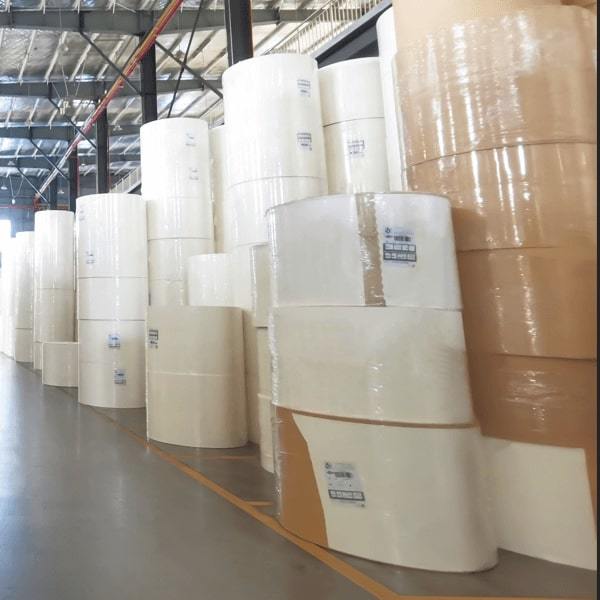 100% Biodegradable Disposable Paper Cup Raw Mateiral Virgin Wood Pulp Paper Cup Fan