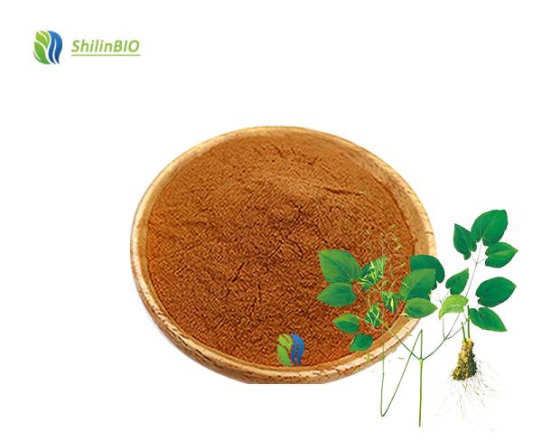 High Quality Epimedium Extract Horny Goat Weed Extract Icariin Powder