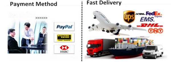 Easter Gift Rose Bunny Wholesale PE Roses Bear with More Colors Bear Roses for Christmas Gift