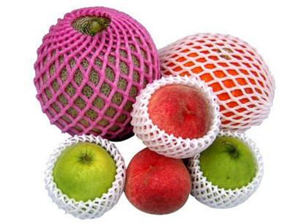 PE Foamed Fruit Net generating machine