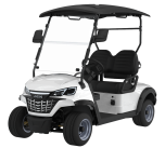 LAKER AUTO Classic D102 2 Seats Electric Golf Cart 48V 5KW AC Motor 70km Driving