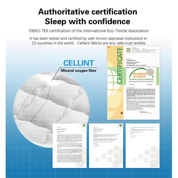 Natural Latex Organic Materials Flexible Spinal Protection for Bedroom Sofa Cushion