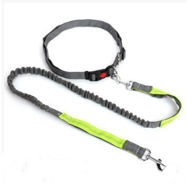 Вокруг пояса ведущего каната любимца талии взрывозащищенного для средних больших собак