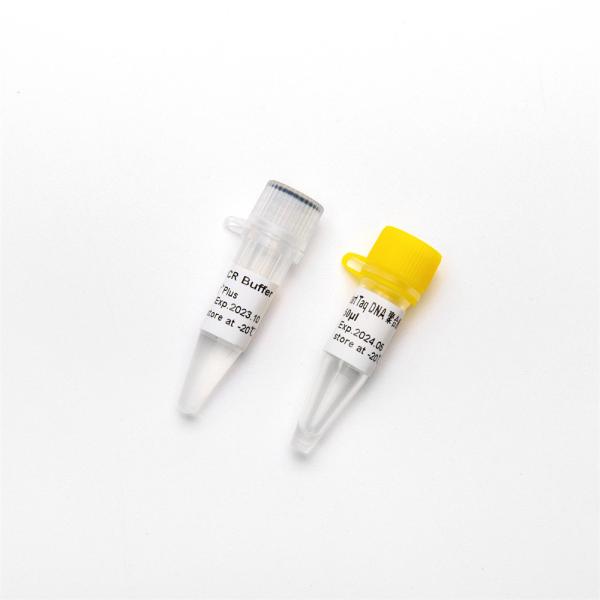 QPCR Hotstart Taq DNA Polymerase RT-PCR Enzyme P1101