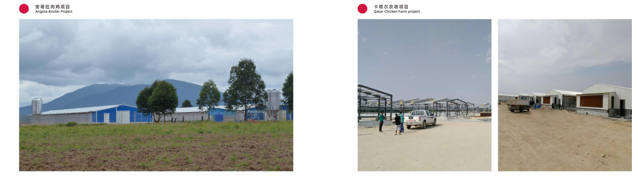 Префабрикованная стальная конструкция заводчик куриные дома сельскохозяйственный дом для скота