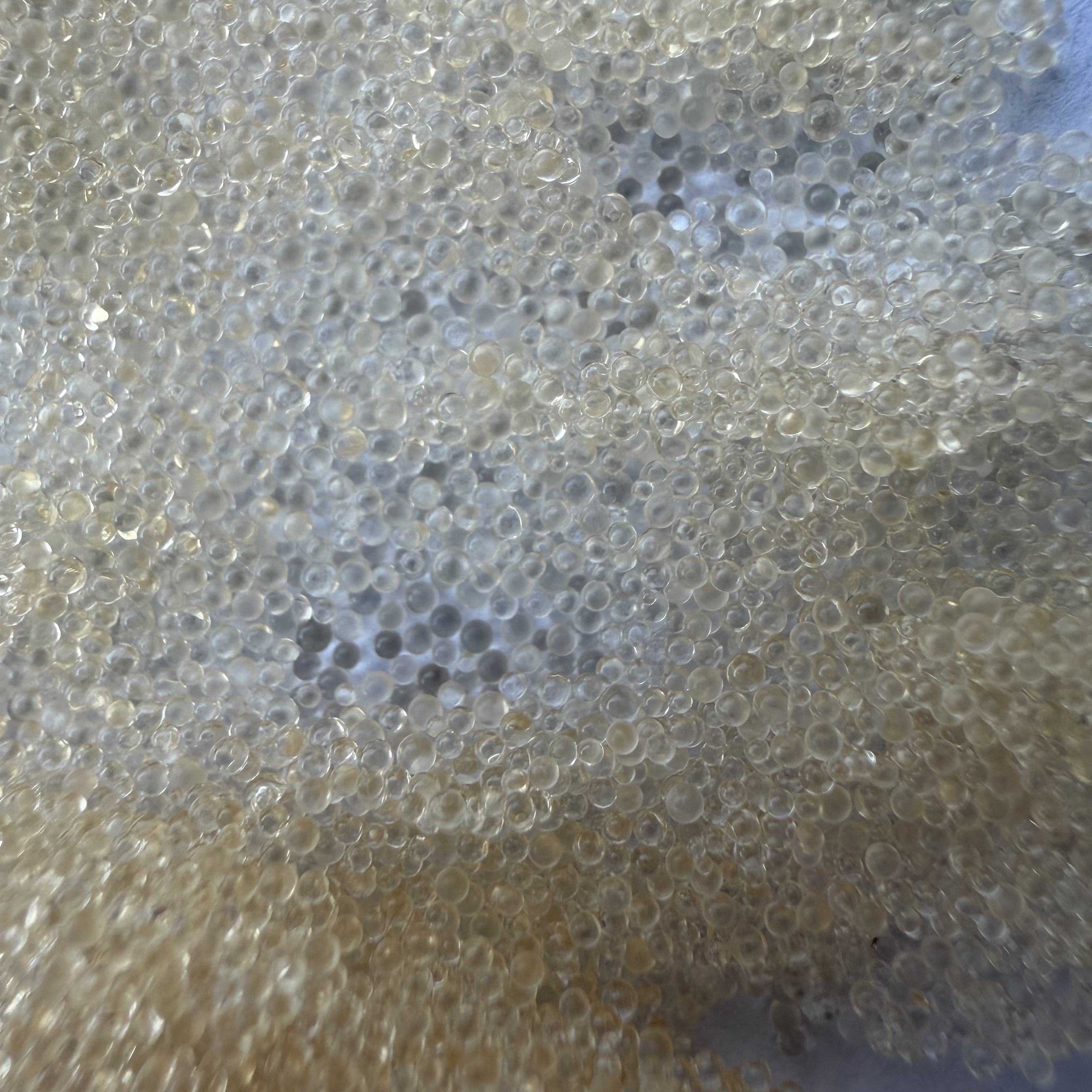 Strong Base Anion Exchange Resin