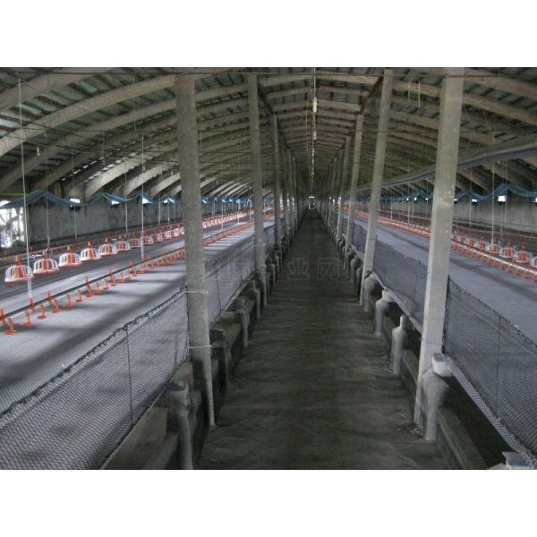 El panel de bocadillo ligero vertido pollo del marco de acero de los sistemas del aislamiento de Noiseproof que enmarca