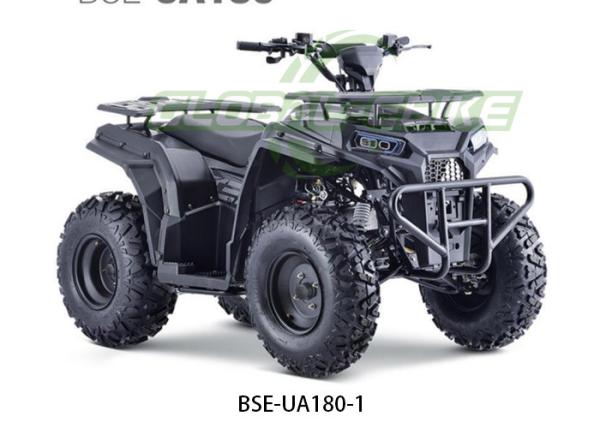 180CC 1060mm Base de rodas Quad Bikes Elétricas Para Adultos, Quad Bike Legal de Estrada