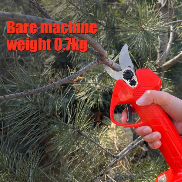 Outils électriques sans fil d'élagage d'arbres ciseaux de jardin ciseaux de branches épaisses ciseaux d'arbres fruitiers portables