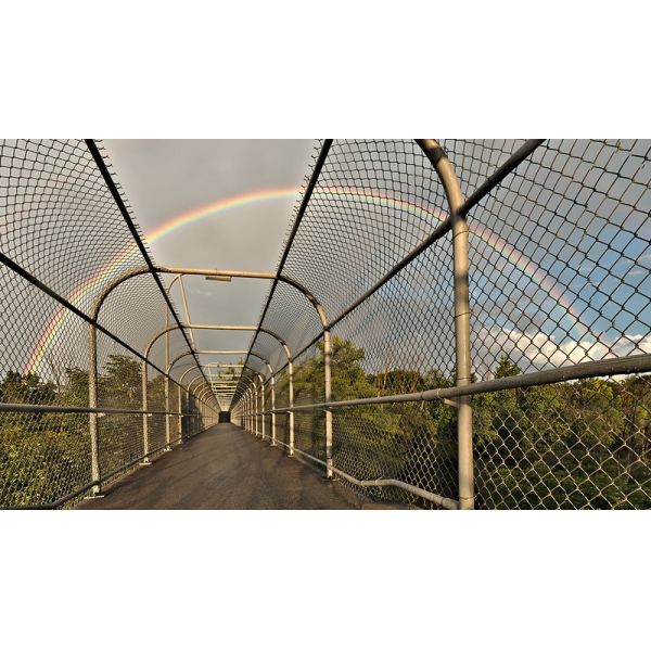 Roll Heavy Grade 8 80 15 Galvanised Stock Grassland Fence 50 Meter 100 Meter