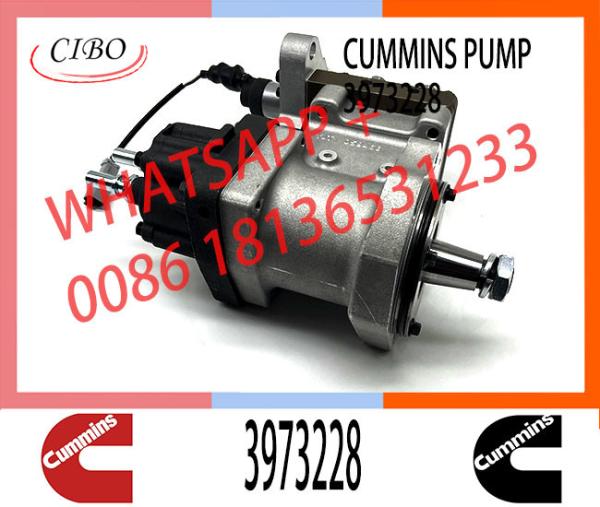 6745-71-1170 6745-71-1010 3973228 4954200 PC300-8 Engine SAA6d114 Qsc Excavator Fuel Pump