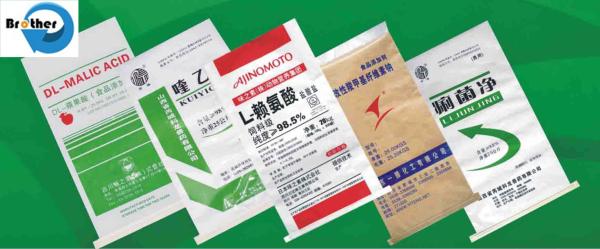 Shandong Manufacturer Fabric Size 20kg 30kg 50lb Kraft Paper- Laminated PP Woven Bag