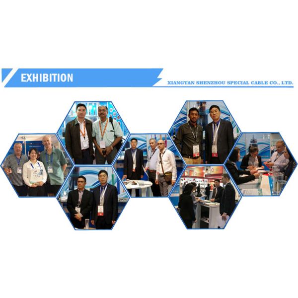 ETFE Heat Resistant Electrical Wire