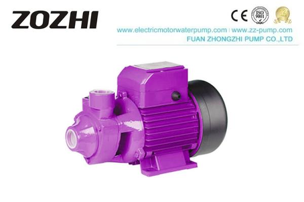 Velocidade elétrica doméstica 0.75KW da bomba de agua potável 2850RPM 12 meses de garantia