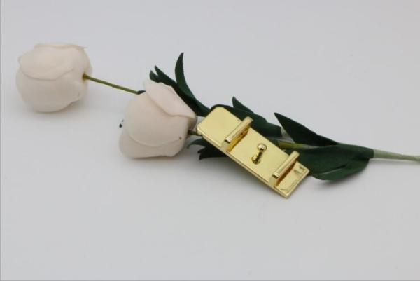 High quality luggage wearing belt buckle light gold metal locks parts