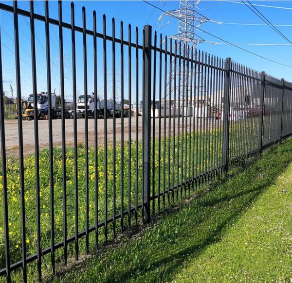 Black RAL Color  Wrought Iron Garden Fence 2400mmL X 2100mmH