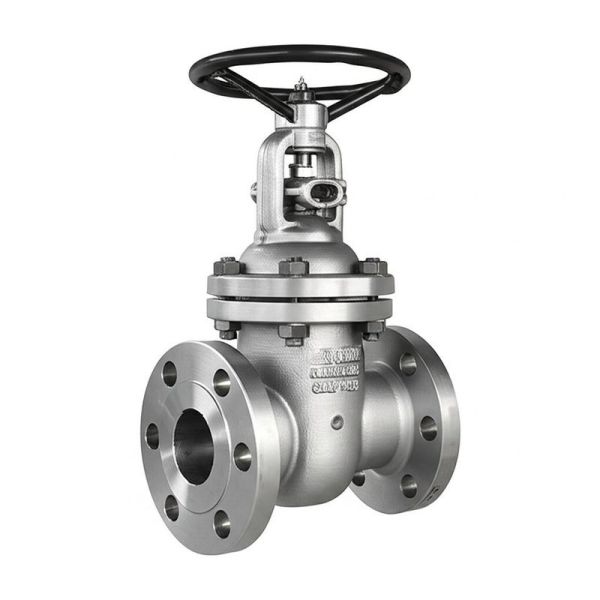 6 Inch 150lb 5A Flange Gate Valve for Medium Pressure Applications in Petroleum Industry