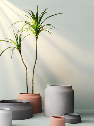 Dracaena выставочного зала деревьев ландшафта 180cm заводы высокорослого искусственного в горшке