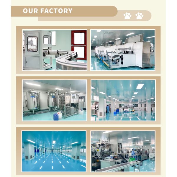 Sustainable and Leak-Proof Disposable Dog Pee Pads Fast Drying Pee Mats for Everyday