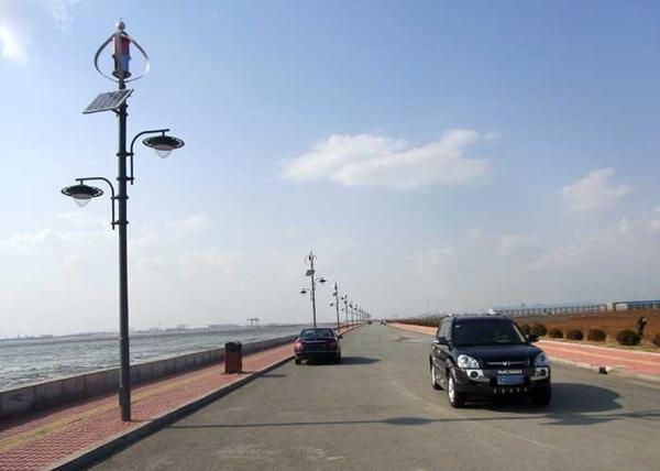 Professional Wind And Solar Hybrid Street Light System 80W Solar Panel