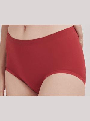 Microfiber Seamless Ladies Hipster Briefs Breathable Quick Drying